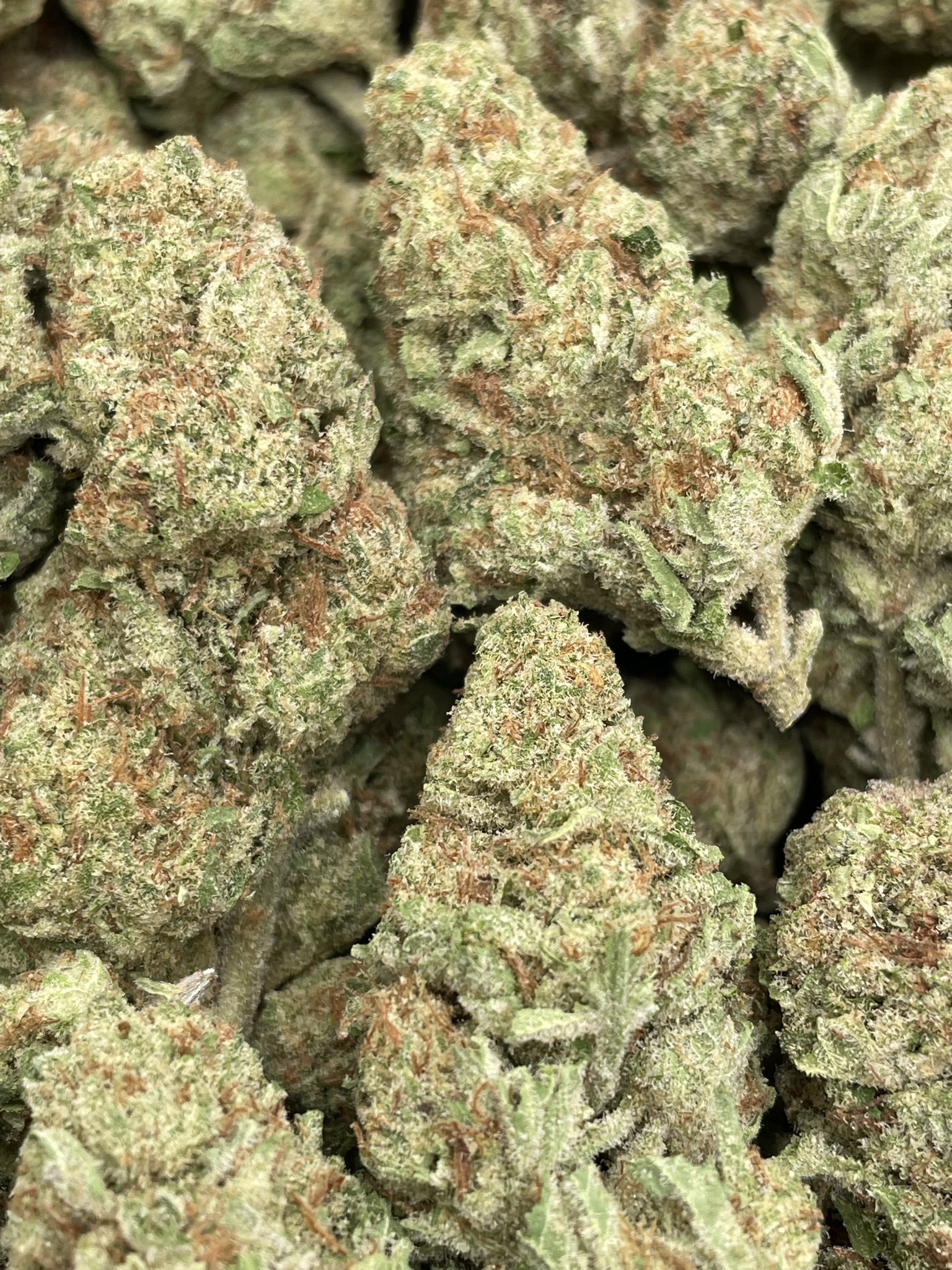 BANANA CANE
