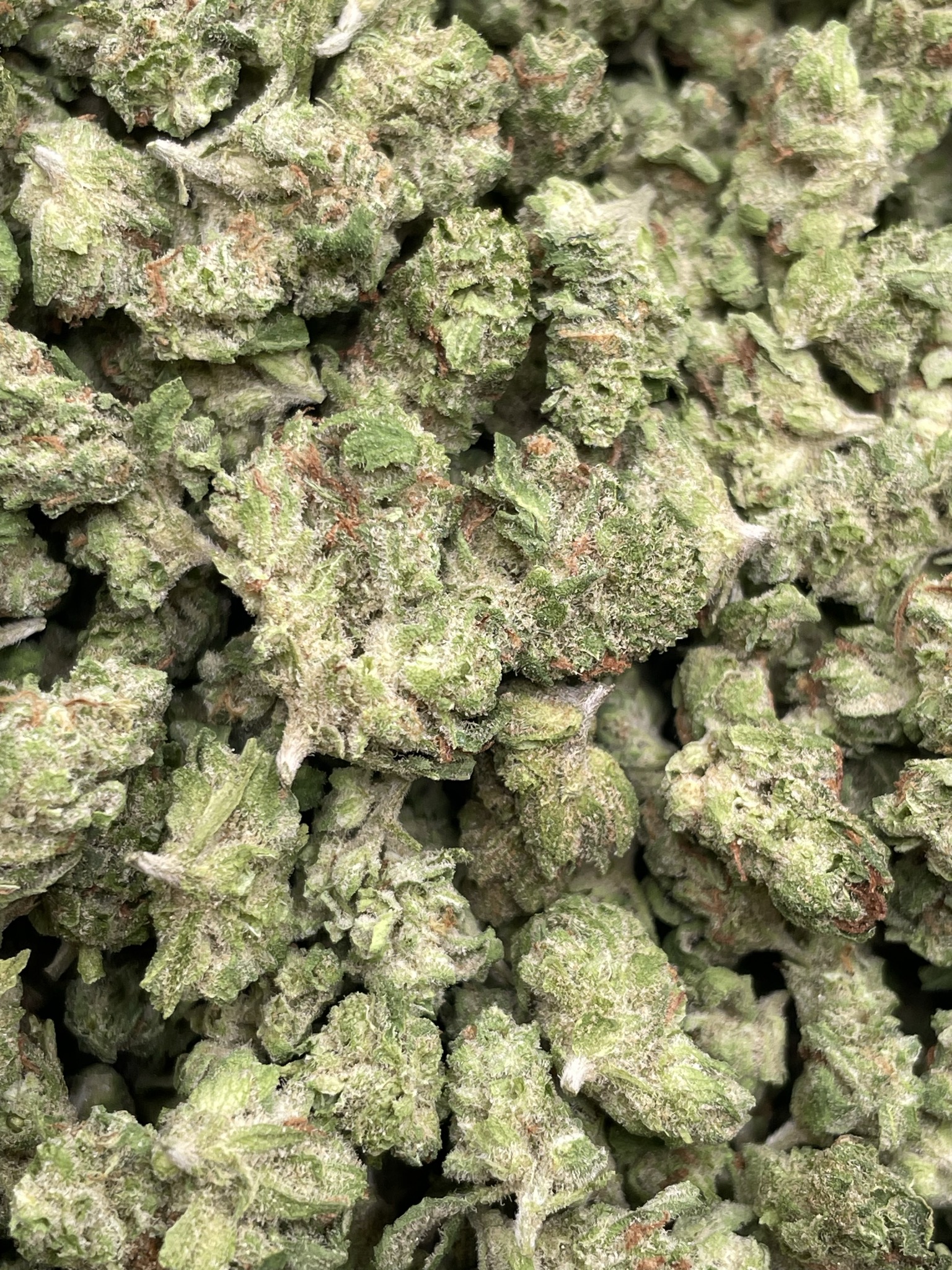 BLUEBERRY SMALLS