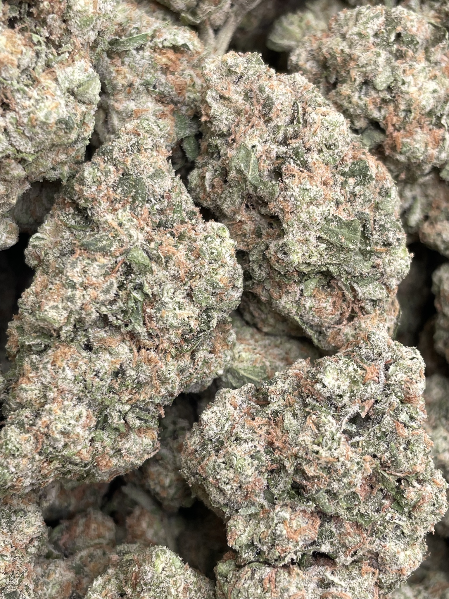 ZOAP X CANDY SHERB